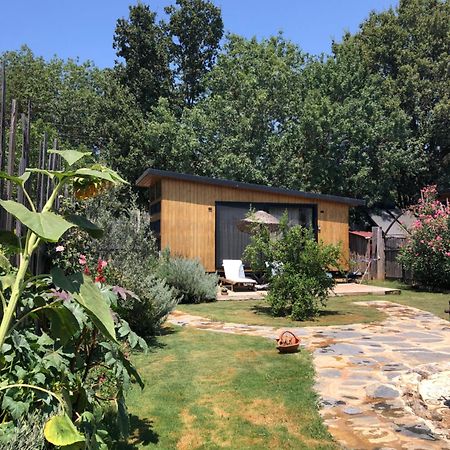 Tiny House Kayakoey Nar Villa Fethiye Bagian luar foto